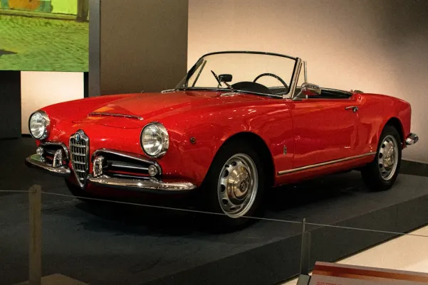 سفين بيت كازينو تطبيق أندرويد/آي أو إس